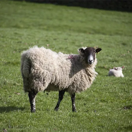 Casa vacanze 1 Bed In G0026 *